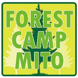 201609forestcamp