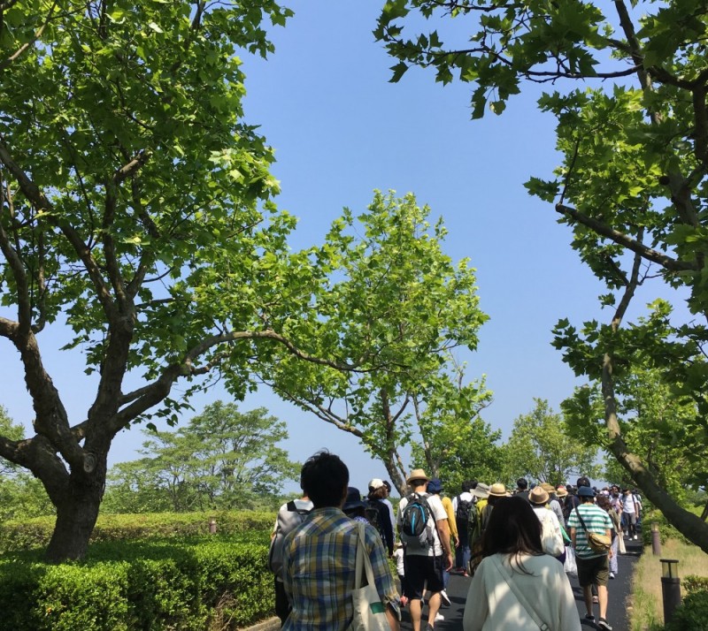 公園の入り口から会場までの道のり、すでに新緑が心地良い!