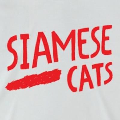 201510021siamesecats_easy2