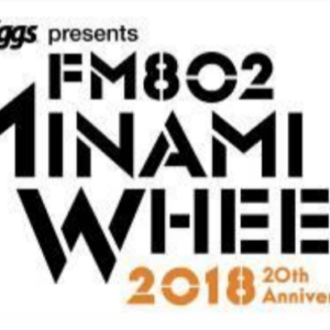 FM802 MINAMI WHEEL